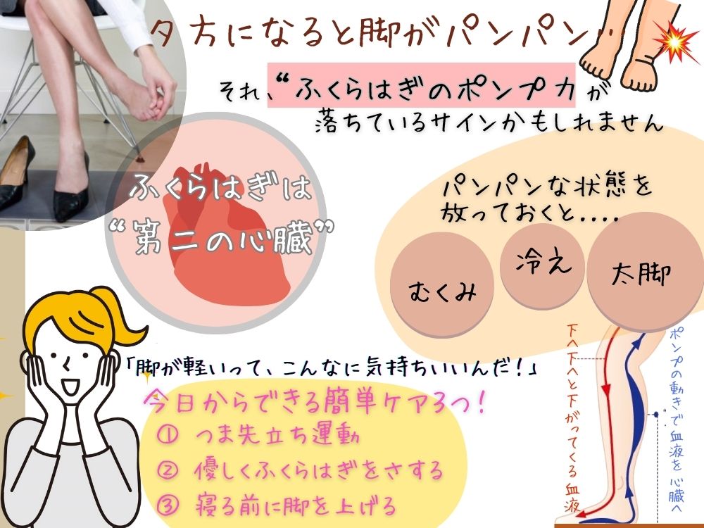 ふくらはぎは「第二の心臓」