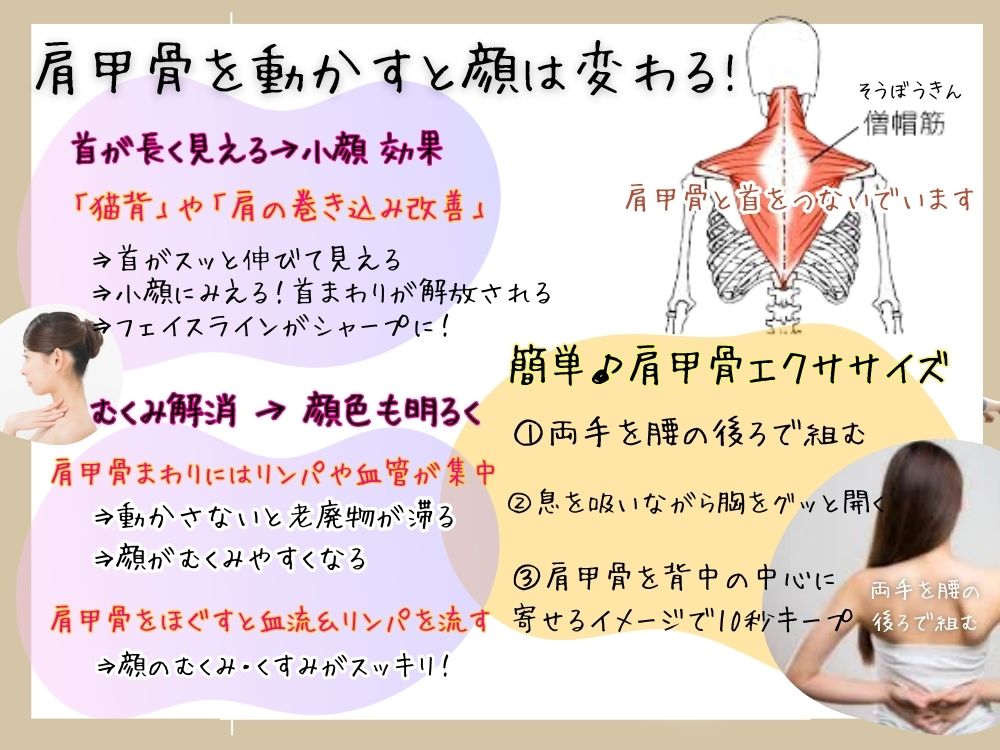 肩甲骨を動かすと顔が変わる！